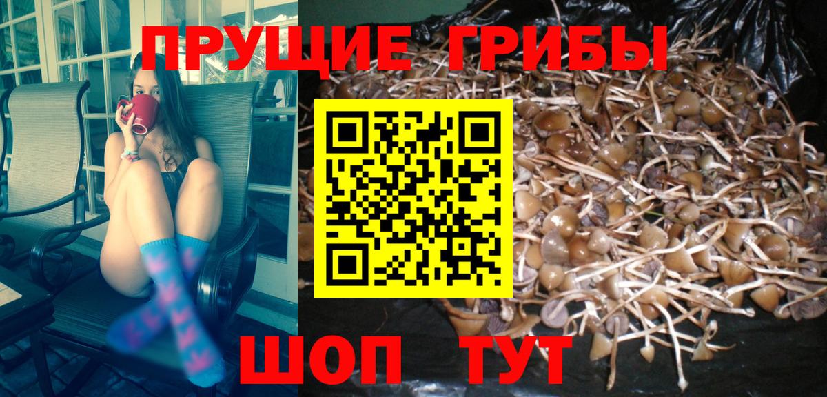 Галлюциногенные грибы Psilocybe  Вход с VPN  Советская Гавань  Псилоцибиновые грибы Magic Shrooms 